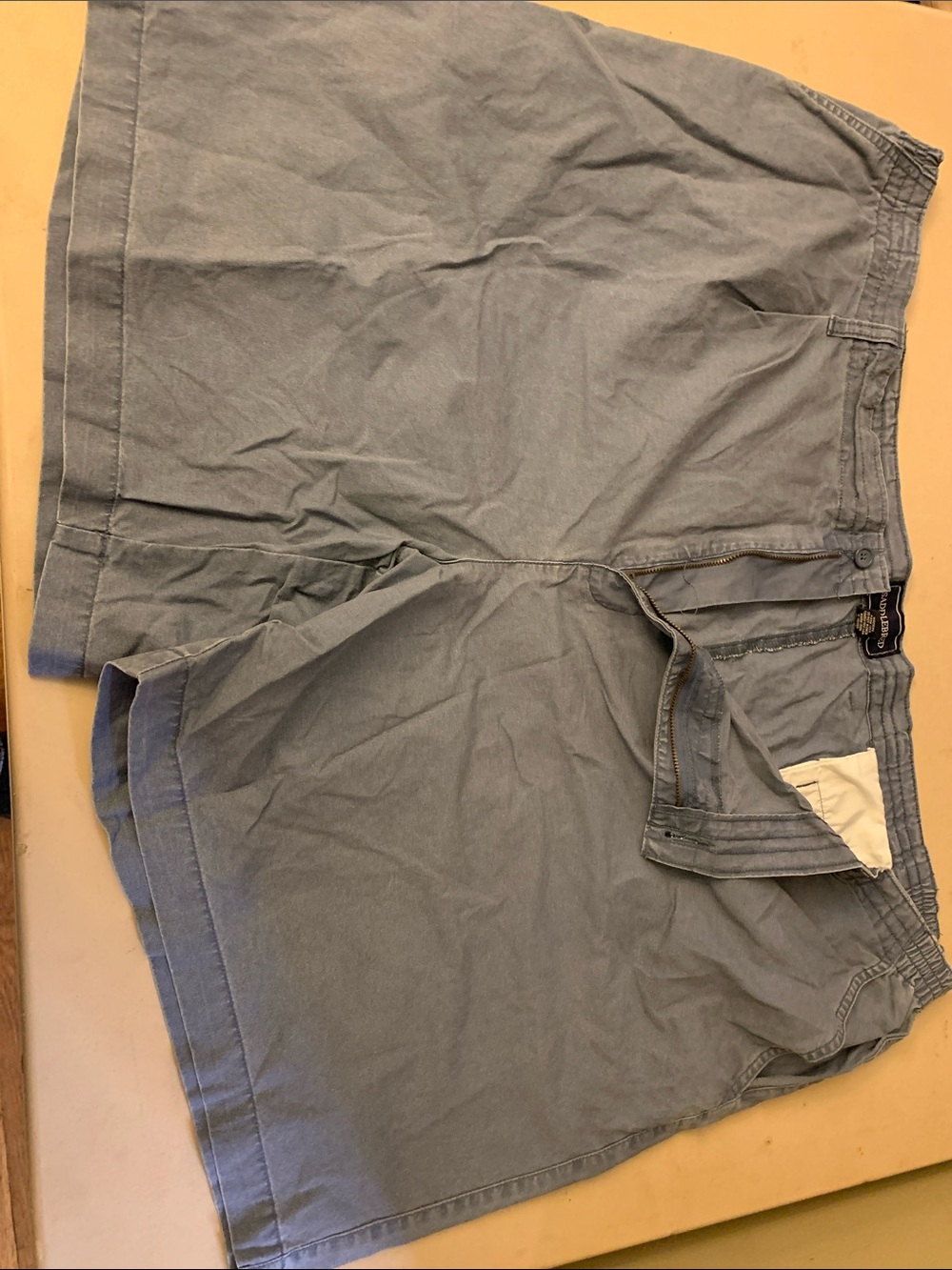 Saddlebred Men's Light Blue Cotton Flat-Front Shorts